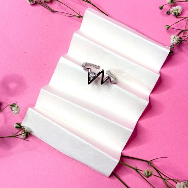 LDH001 - Lady Ornate Oxidised Jewellery Combo - Image 4
